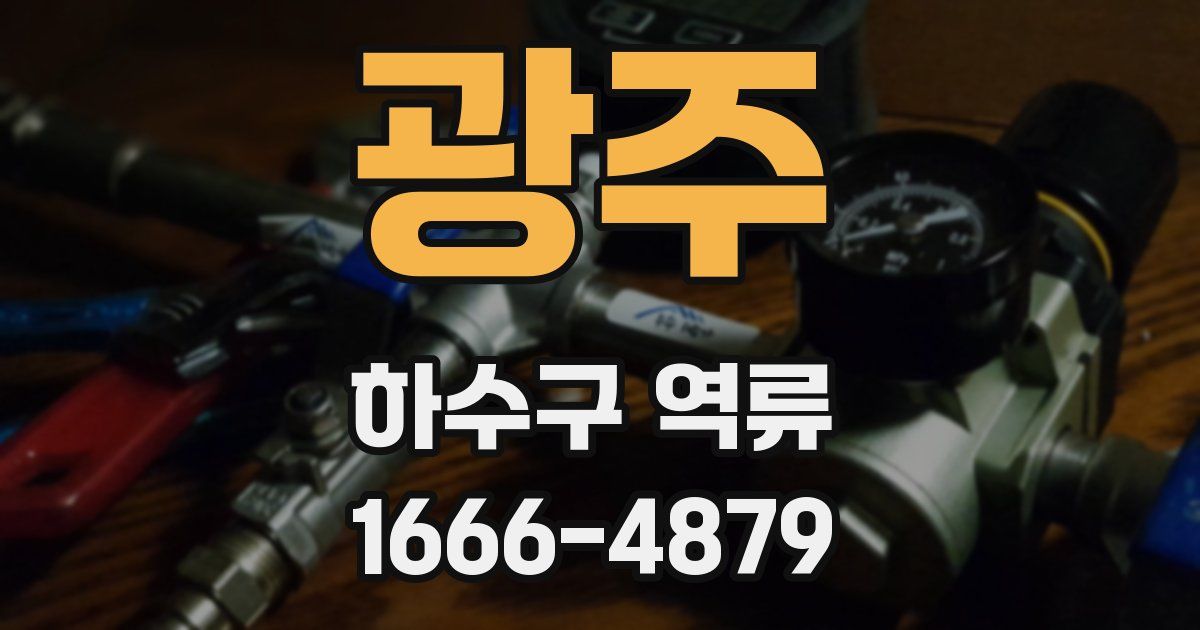 광주 하수구 역류