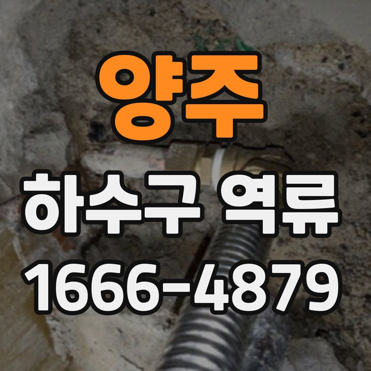 양주 하수구 역류