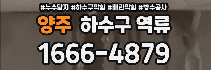 양주 하수구 역류