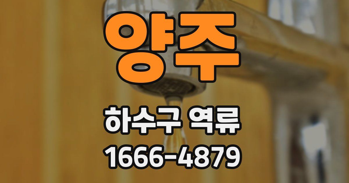 양주 하수구 역류