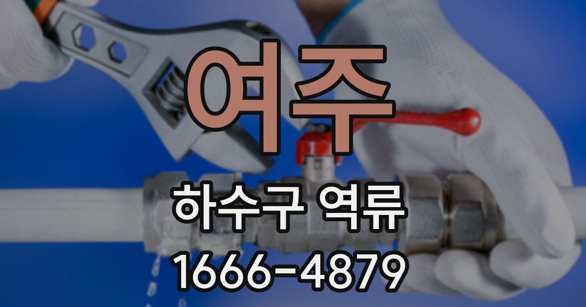 여주 하수구 역류