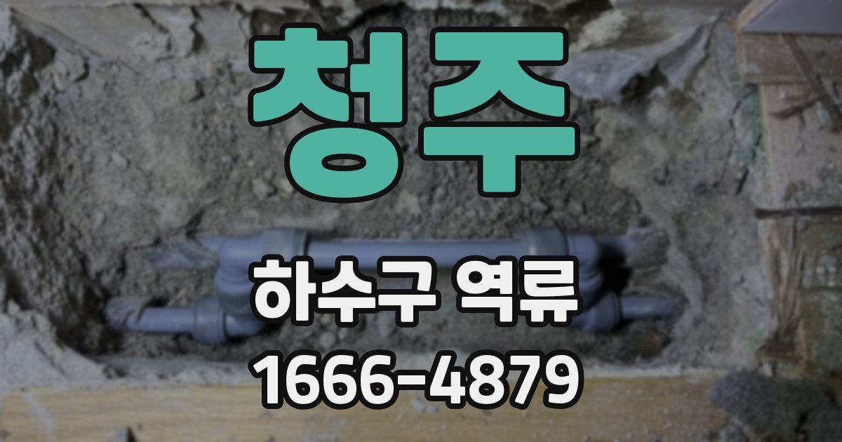 청주 하수구 역류