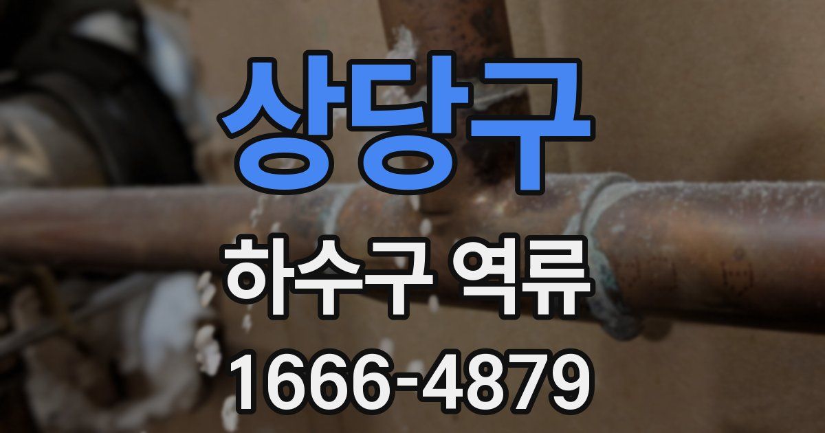 상당구 하수구 역류