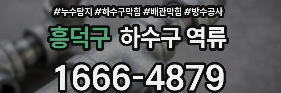 흥덕구 하수구 역류