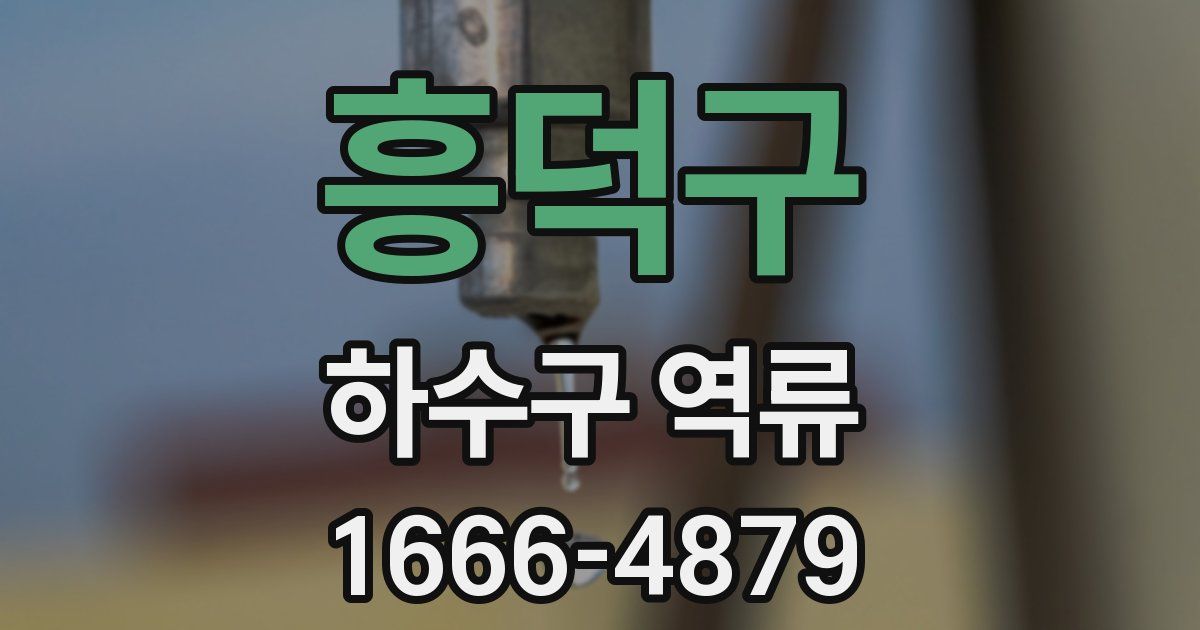 흥덕구 하수구 역류