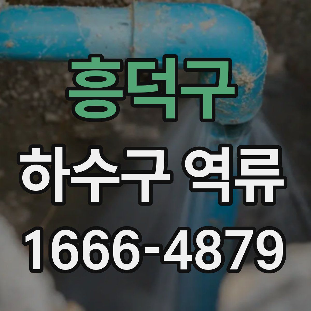 흥덕구 하수구 역류