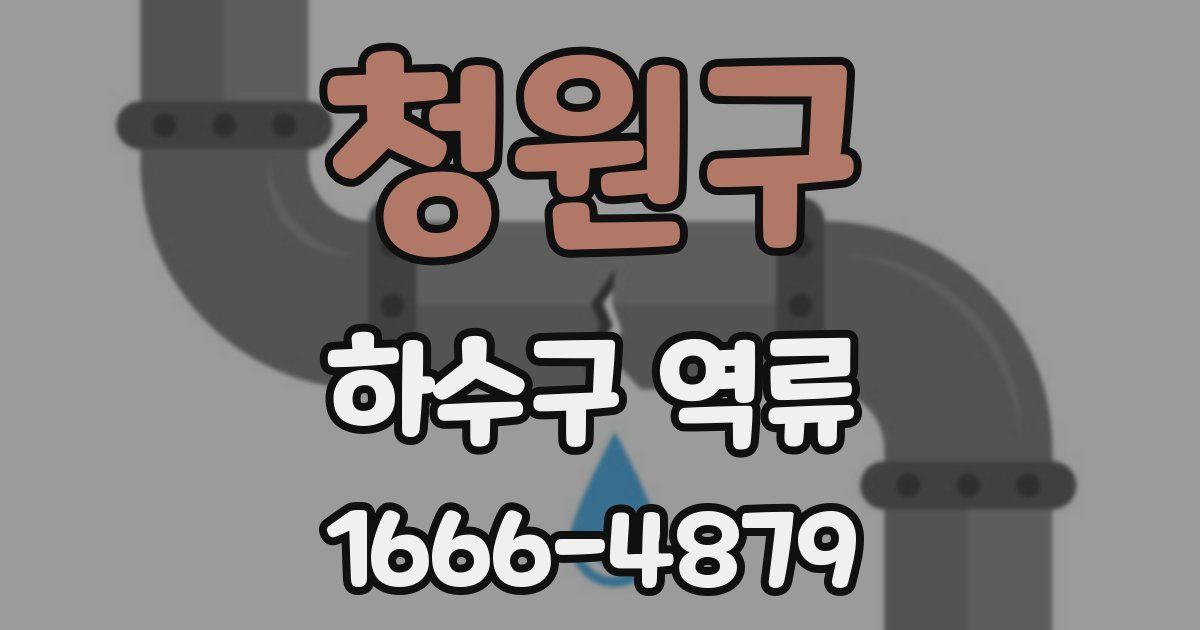 청원구 하수구 역류
