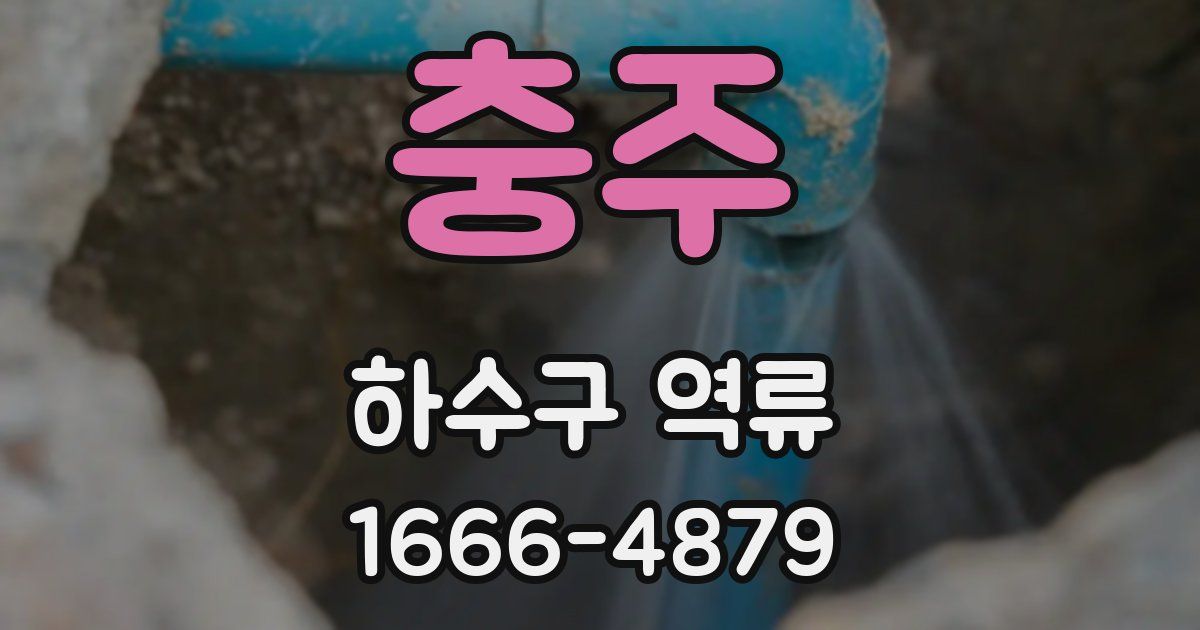 충주 하수구 역류