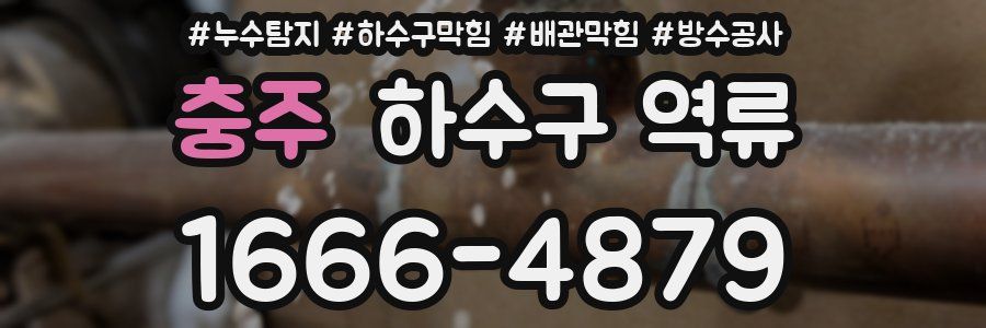충주 하수구 역류