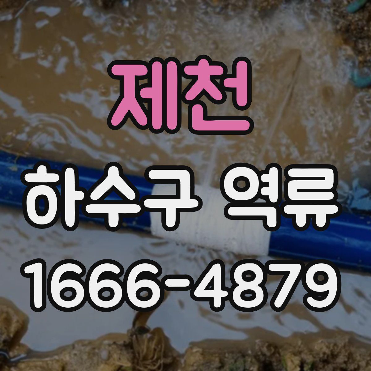 제천 하수구 역류