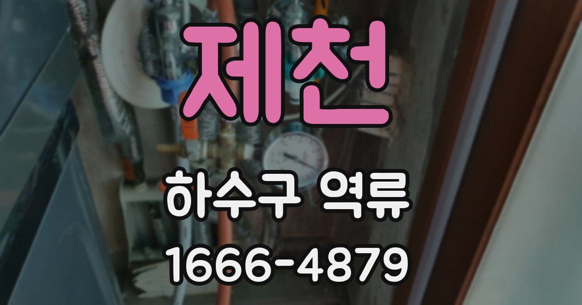 제천 하수구 역류