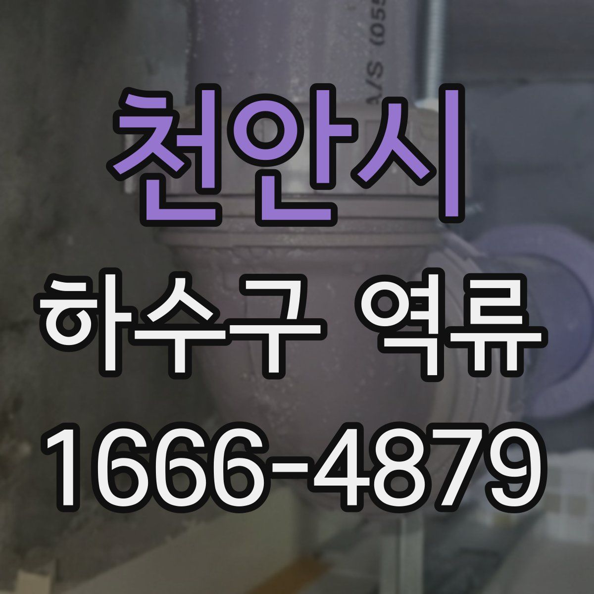 천안시 하수구 역류