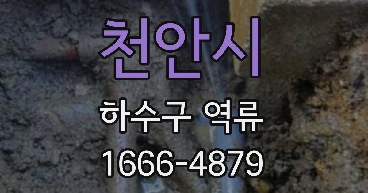 천안시 하수구 역류