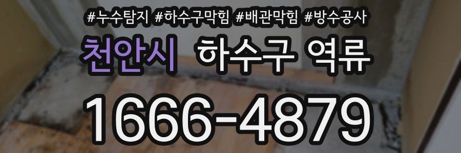 천안시 하수구 역류