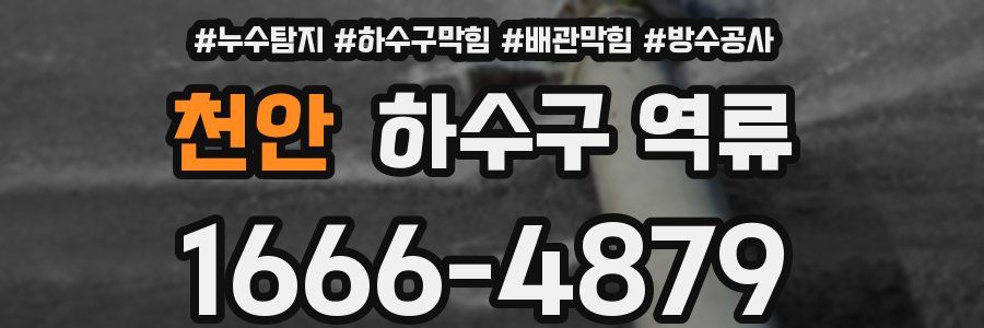 천안 하수구 역류