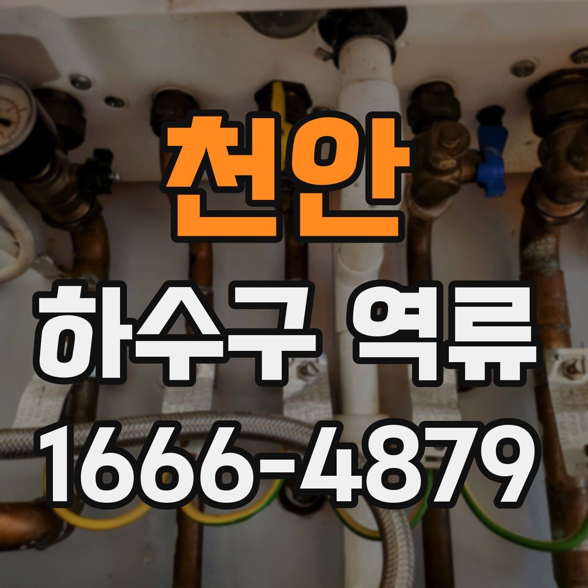 천안 하수구 역류