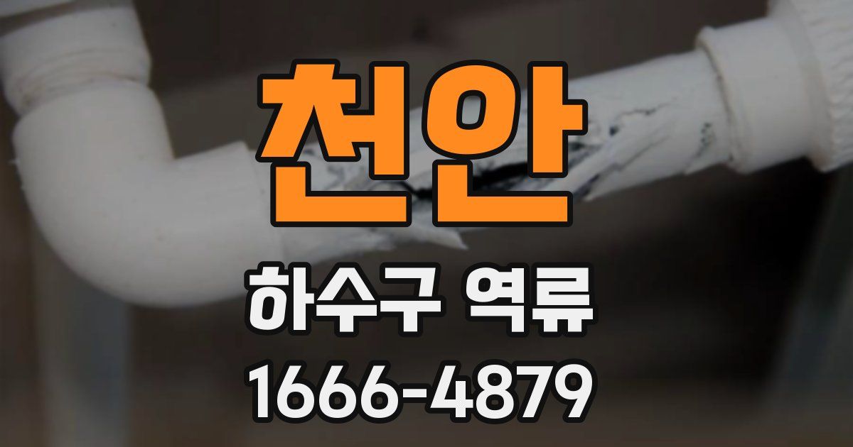 천안 하수구 역류