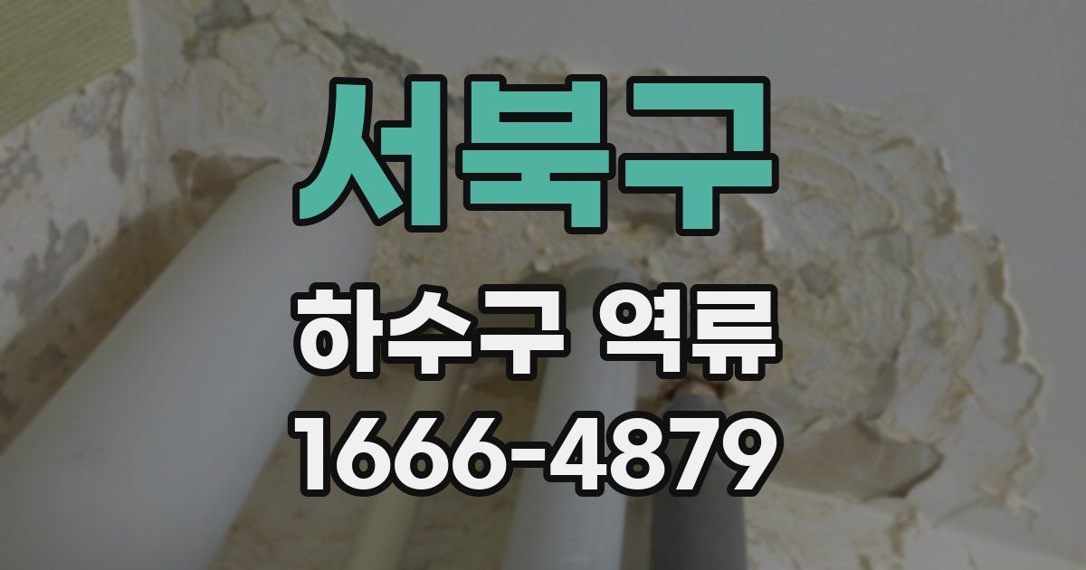 서북구 하수구 역류