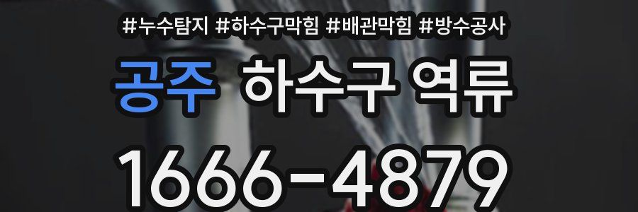 공주 하수구 역류