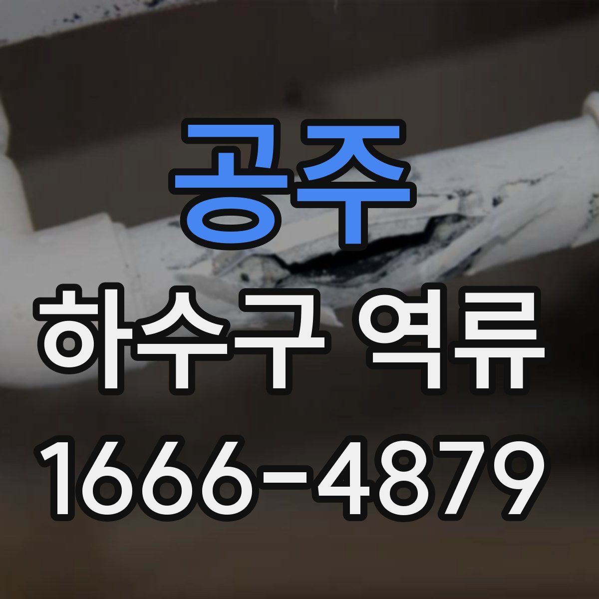 공주 하수구 역류