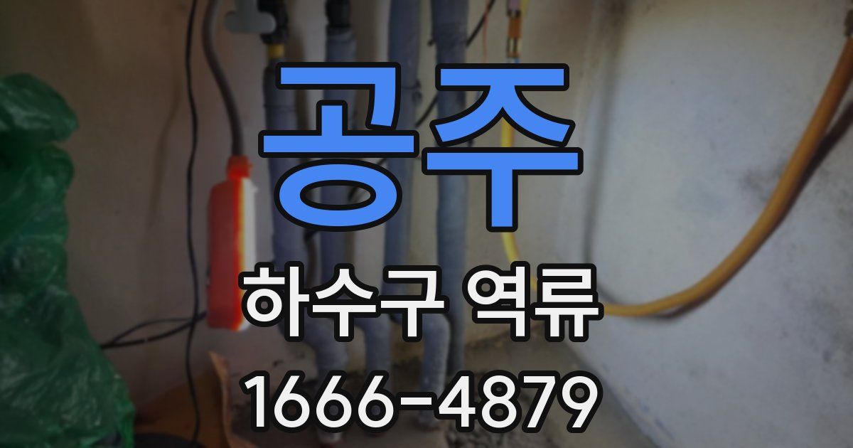 공주 하수구 역류