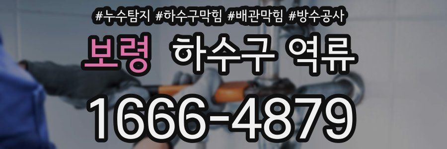 보령 하수구 역류