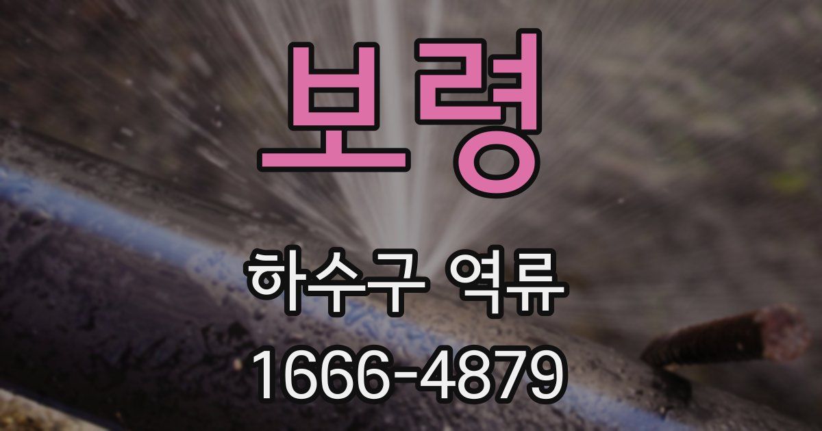 보령 하수구 역류