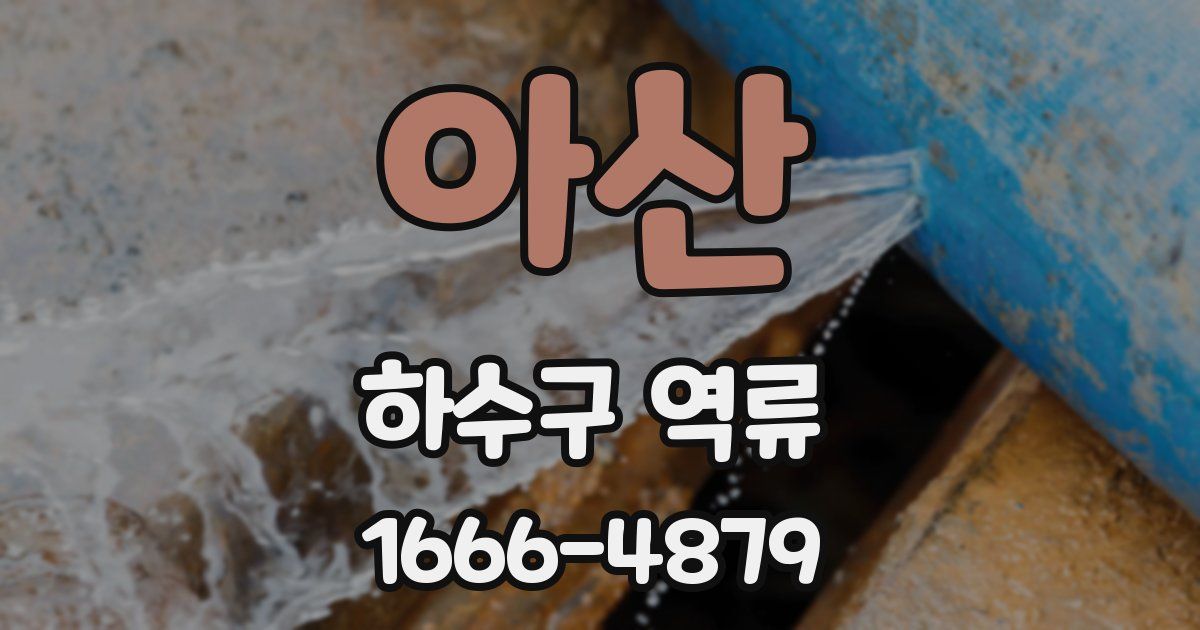 아산 하수구 역류