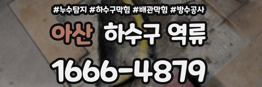 아산 하수구 역류