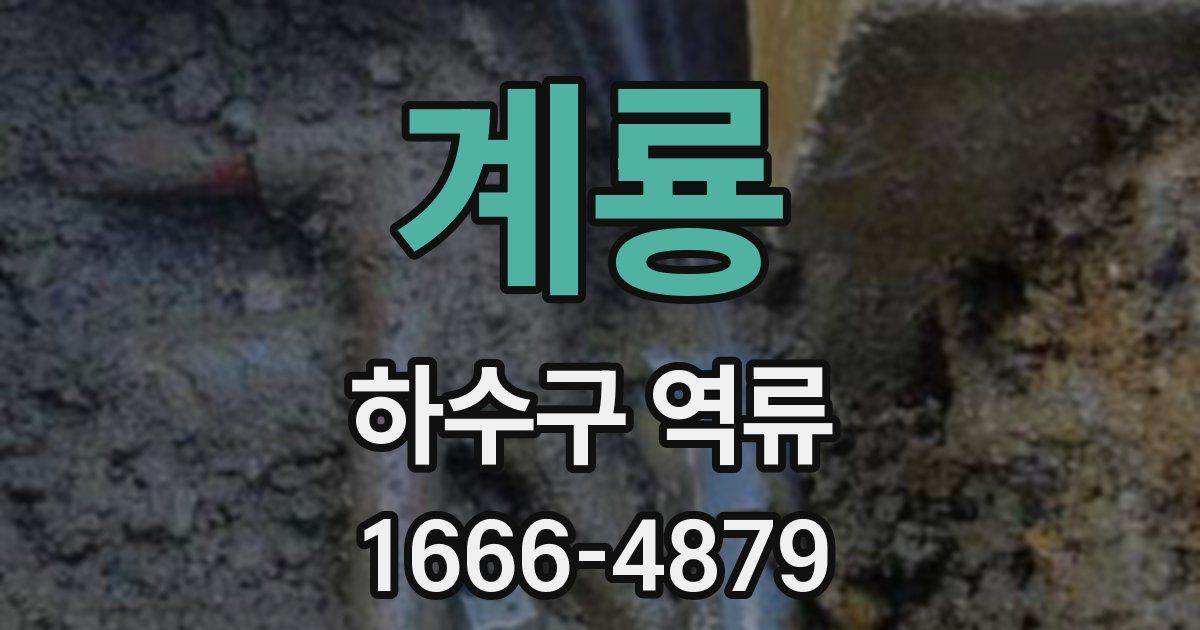 계룡 하수구 역류