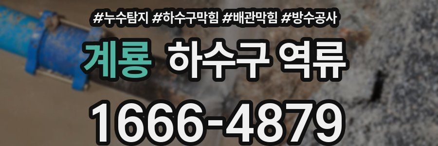 계룡 하수구 역류