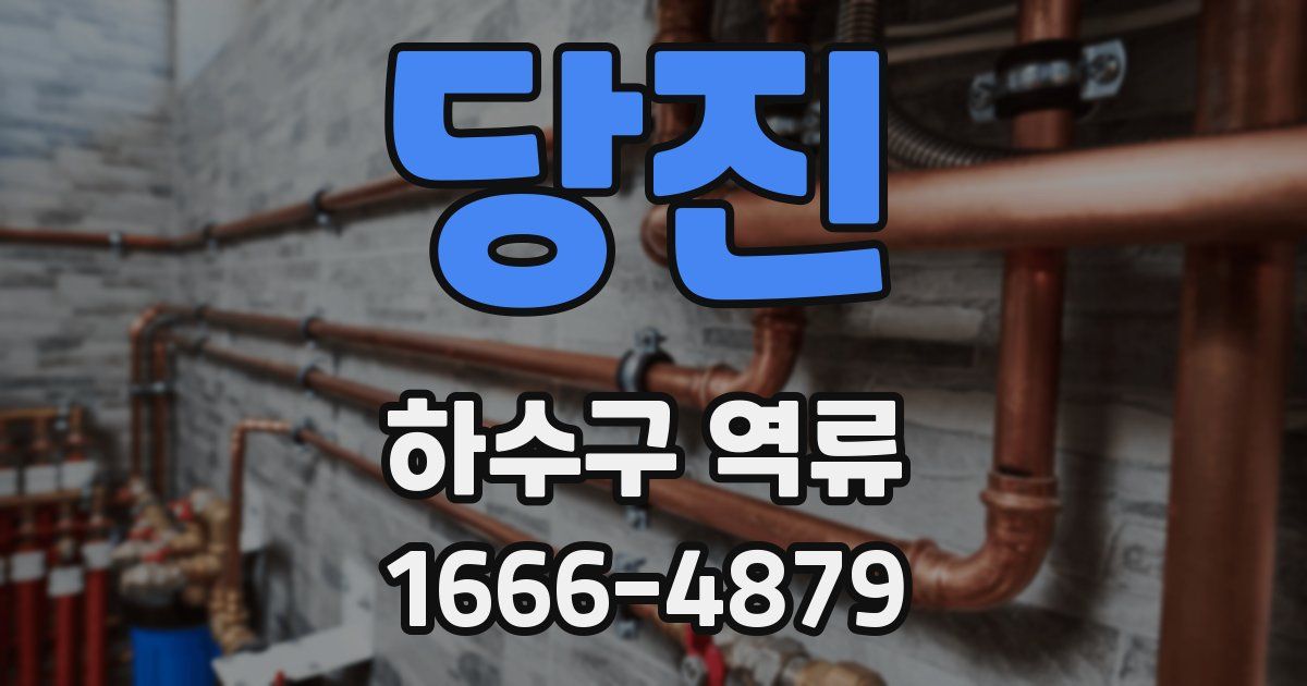 당진 하수구 역류