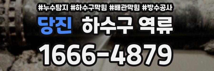 당진 하수구 역류