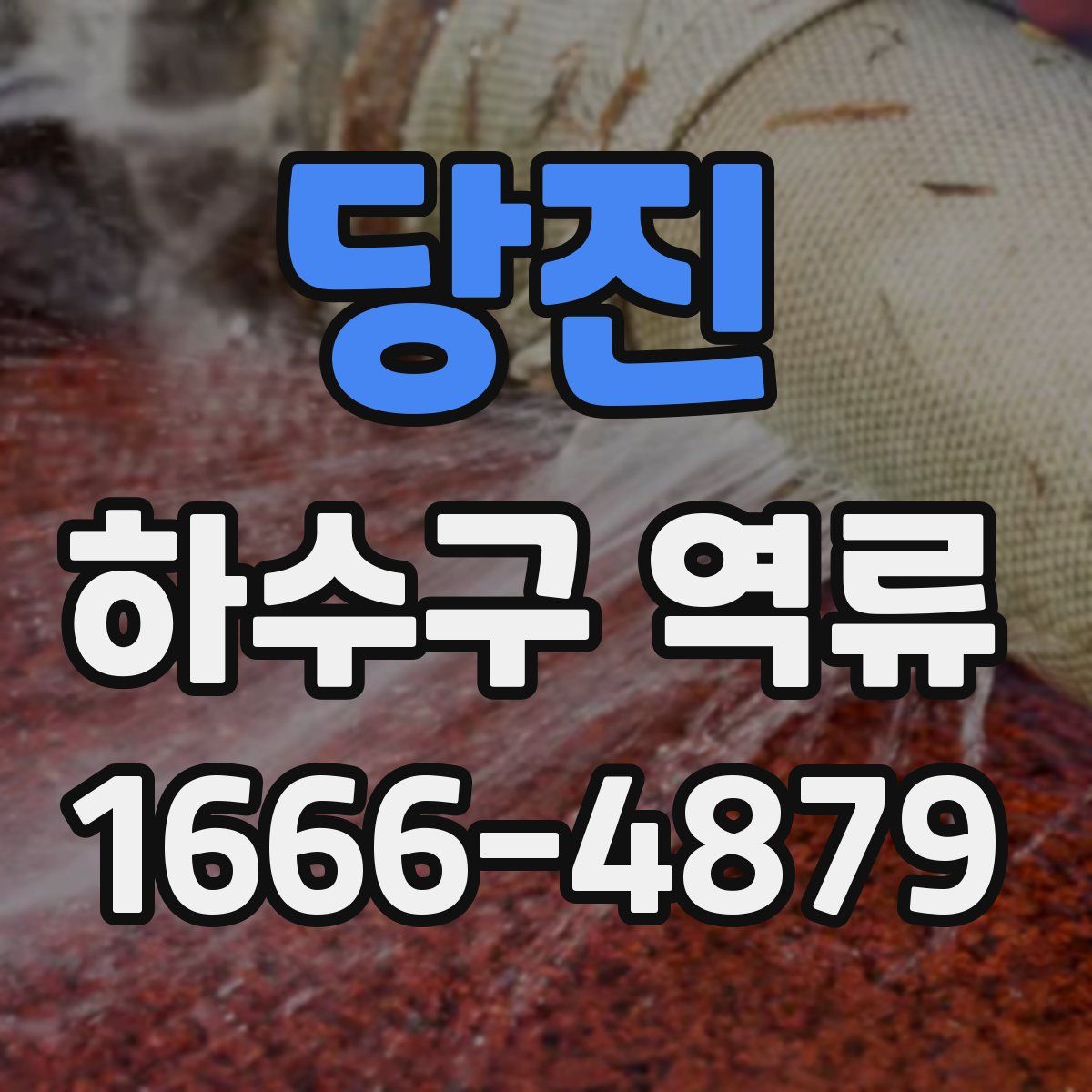 당진 하수구 역류