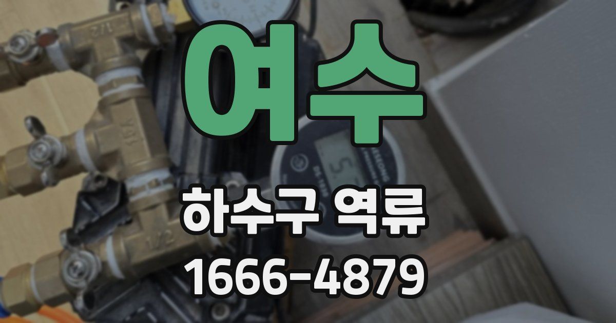 여수 하수구 역류