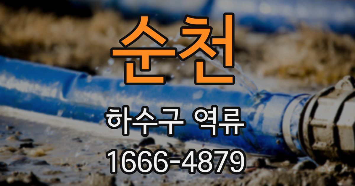 순천 하수구 역류