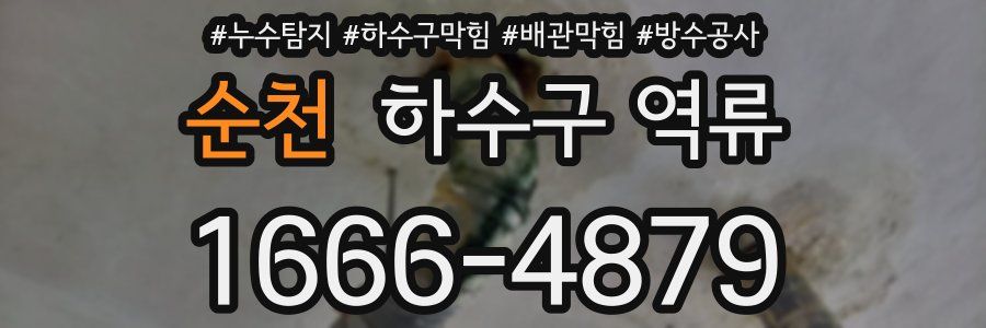 순천 하수구 역류
