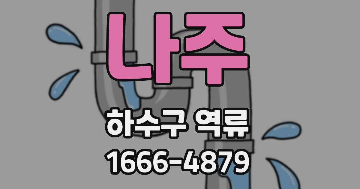 나주 하수구 역류
