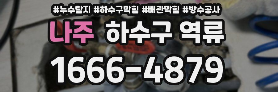 나주 하수구 역류