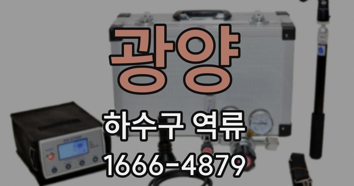 광양 하수구 역류
