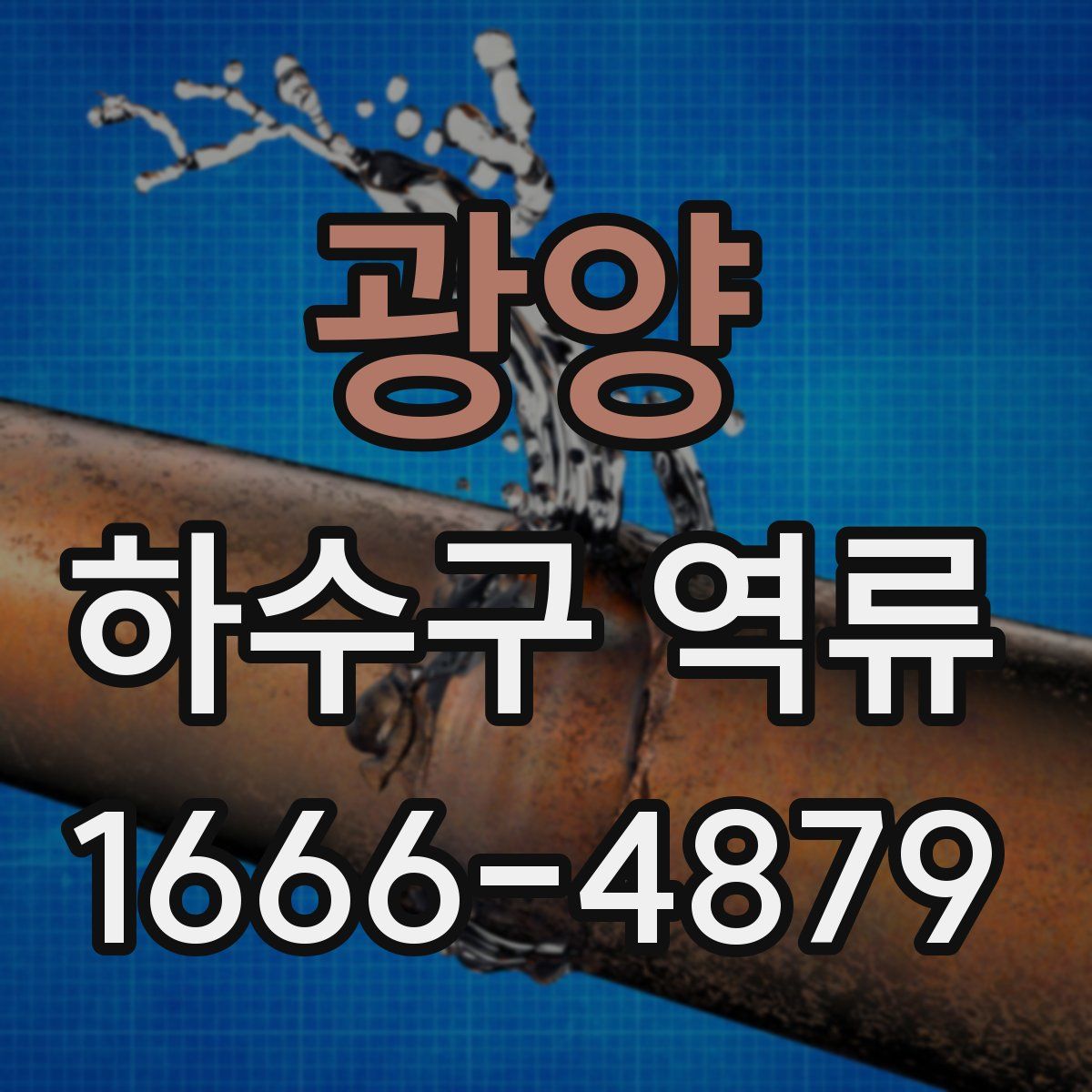 광양 하수구 역류