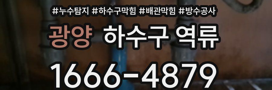 광양 하수구 역류