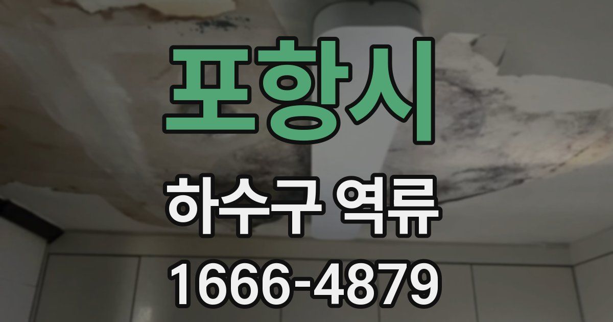 포항시 하수구 역류