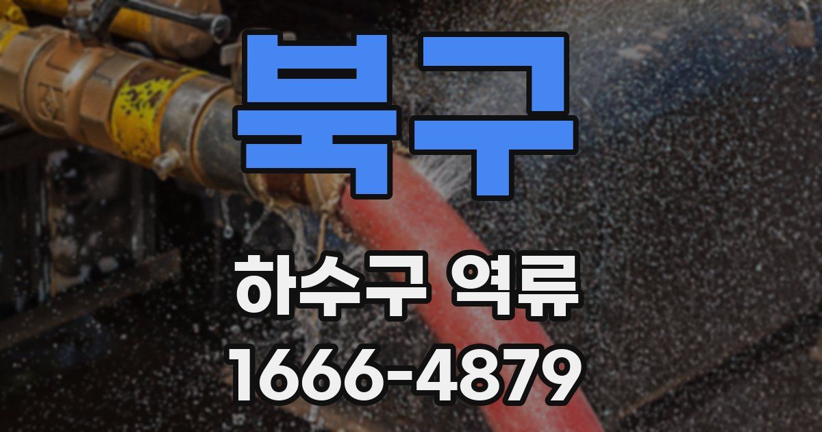 북구 하수구 역류