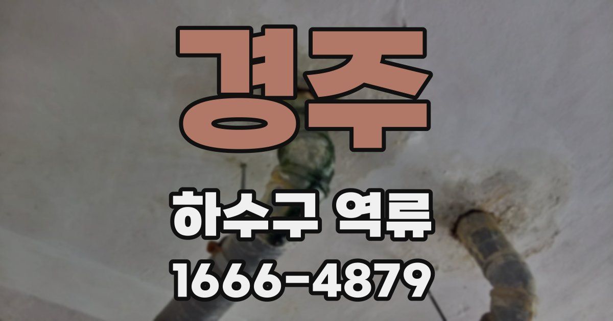 경주 하수구 역류