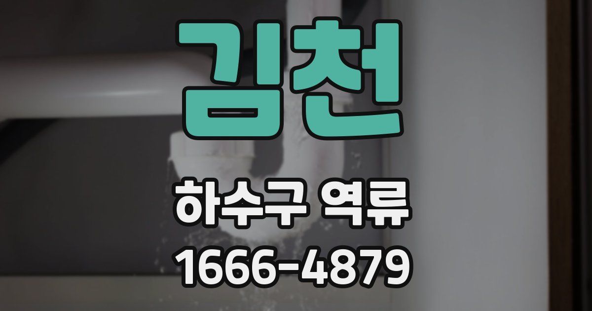 김천 하수구 역류