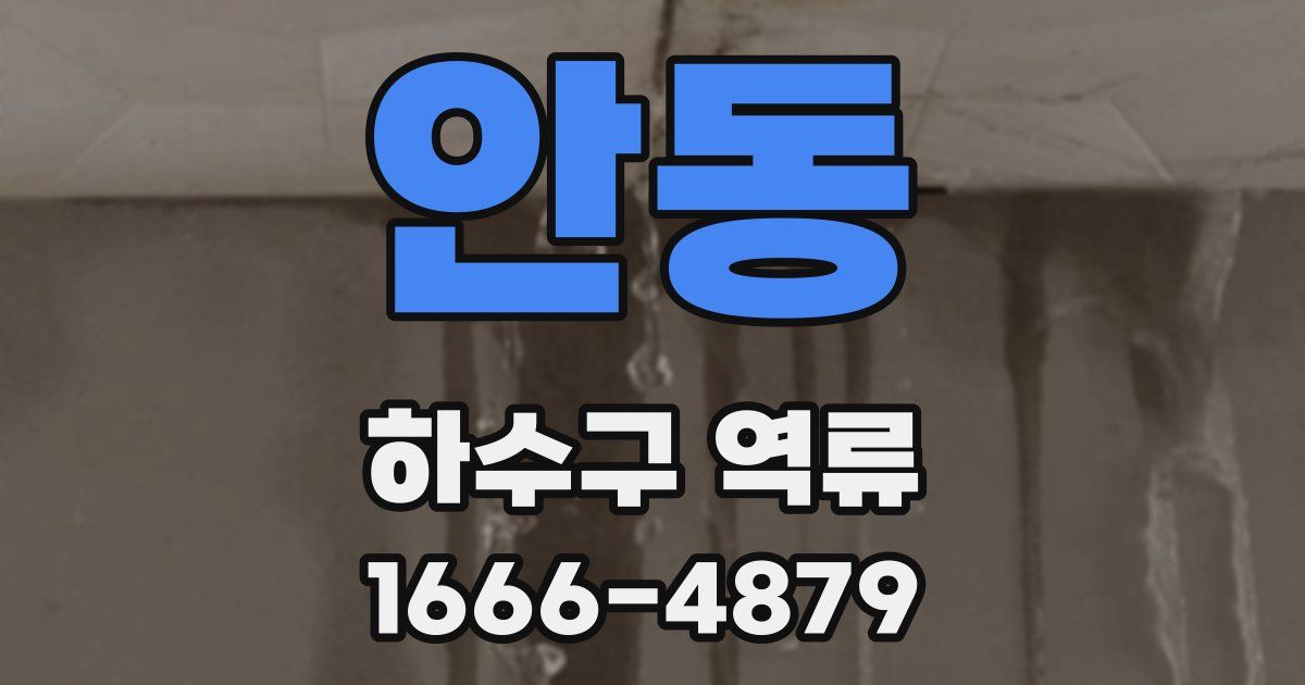 안동 하수구 역류