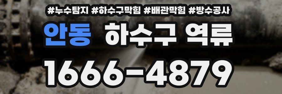 안동 하수구 역류