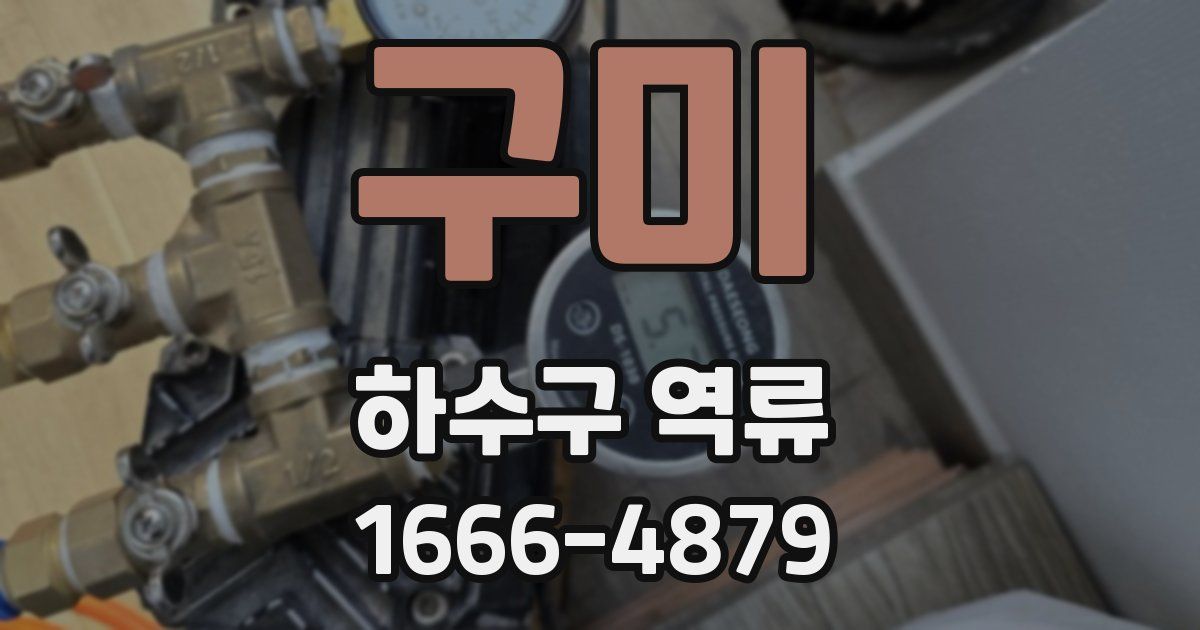 구미 하수구 역류