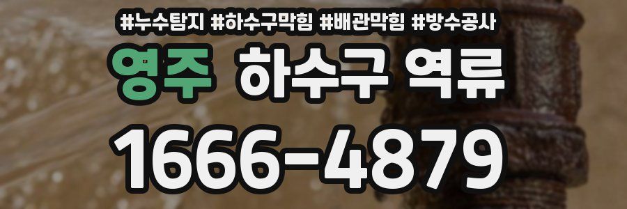 영주 하수구 역류